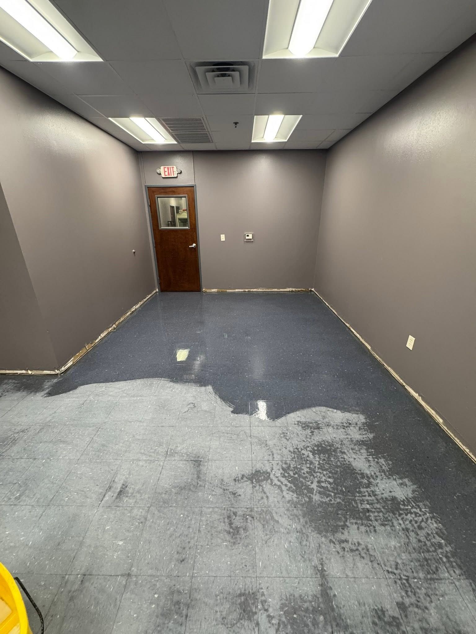 Empty gray office room with blue carpet, fluorescent lights, and a wooden door at the far end.
