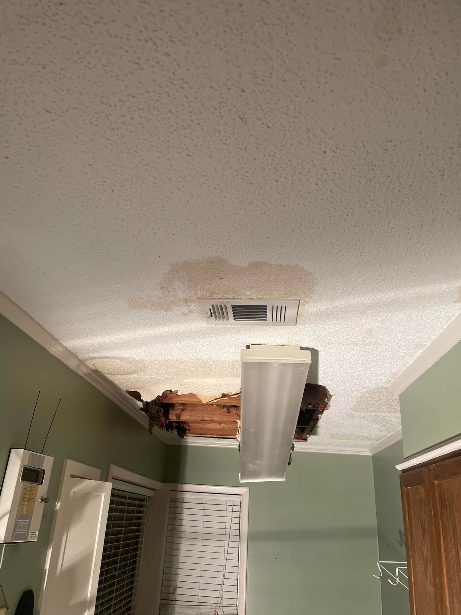 Bathroom ceiling with a large hole, water damage, and a hanging vent cover above a shower curtain.