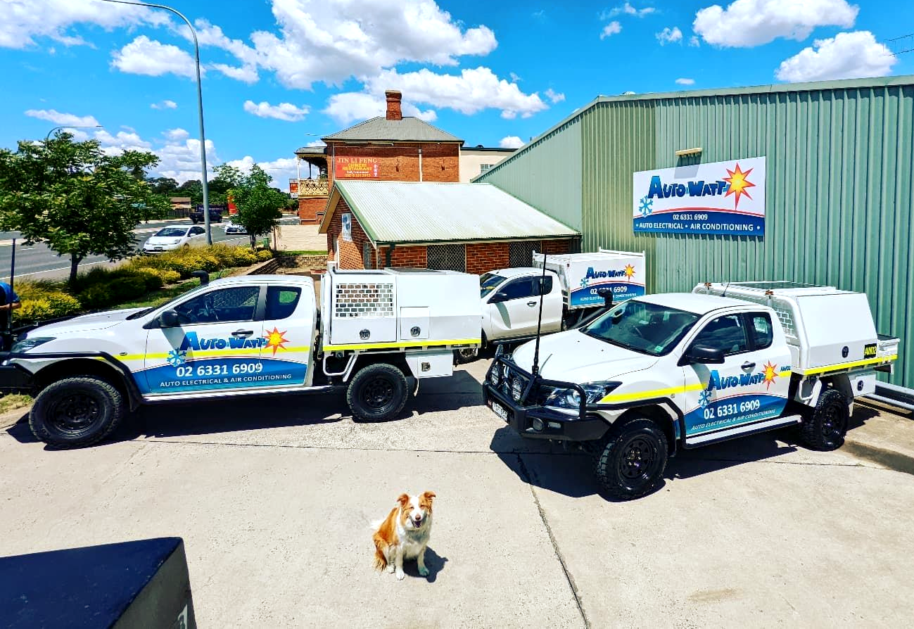 White Pickup Truck With Trailer in a Forest — Auto Watt in Kelso, NSW