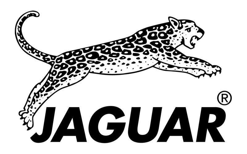 Logo Jaguar con un giaguaro maculato in salto e una scritta nera in grassetto.