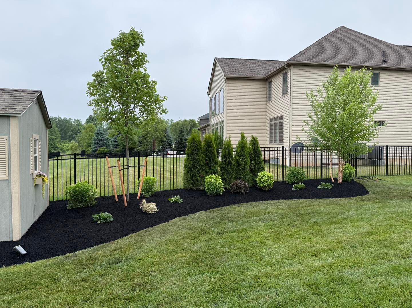 Backyard with black mulch flower bed, green plants, trees, black fence, shed, and beige house.