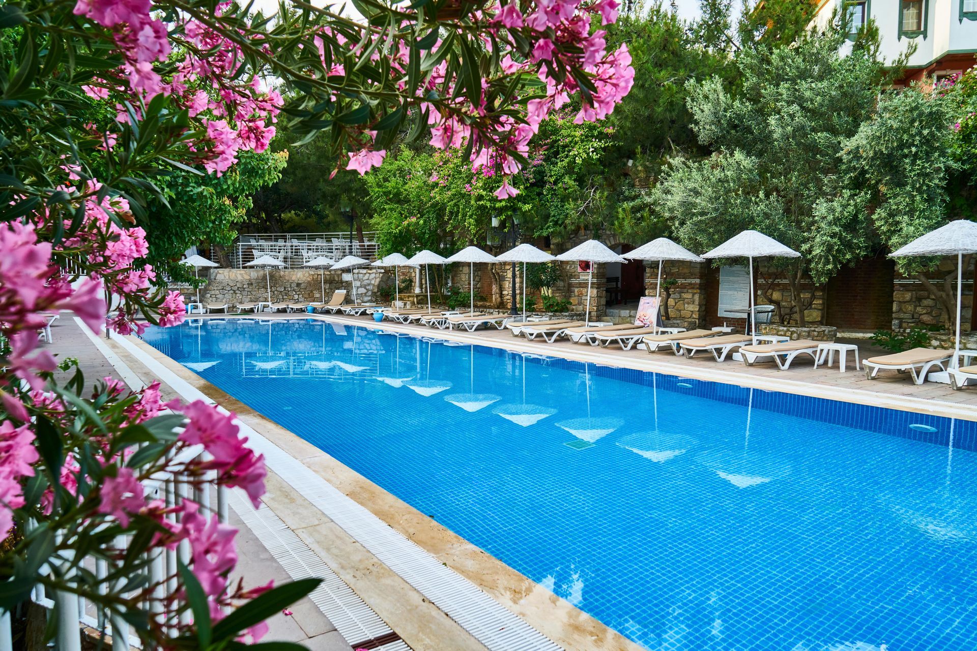 Blue swimming pool lined with white lounge chairs and umbrellas, framed by pink flowers and lush greenery