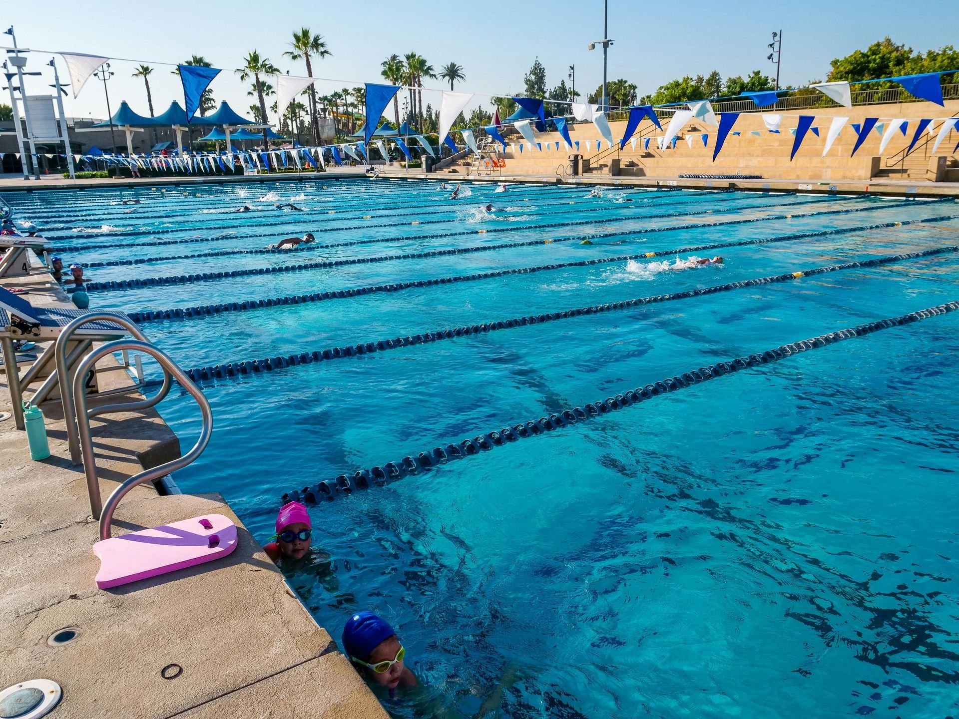 Outdoor lap pool with swimmers, blue water, lane ropes, and palm trees