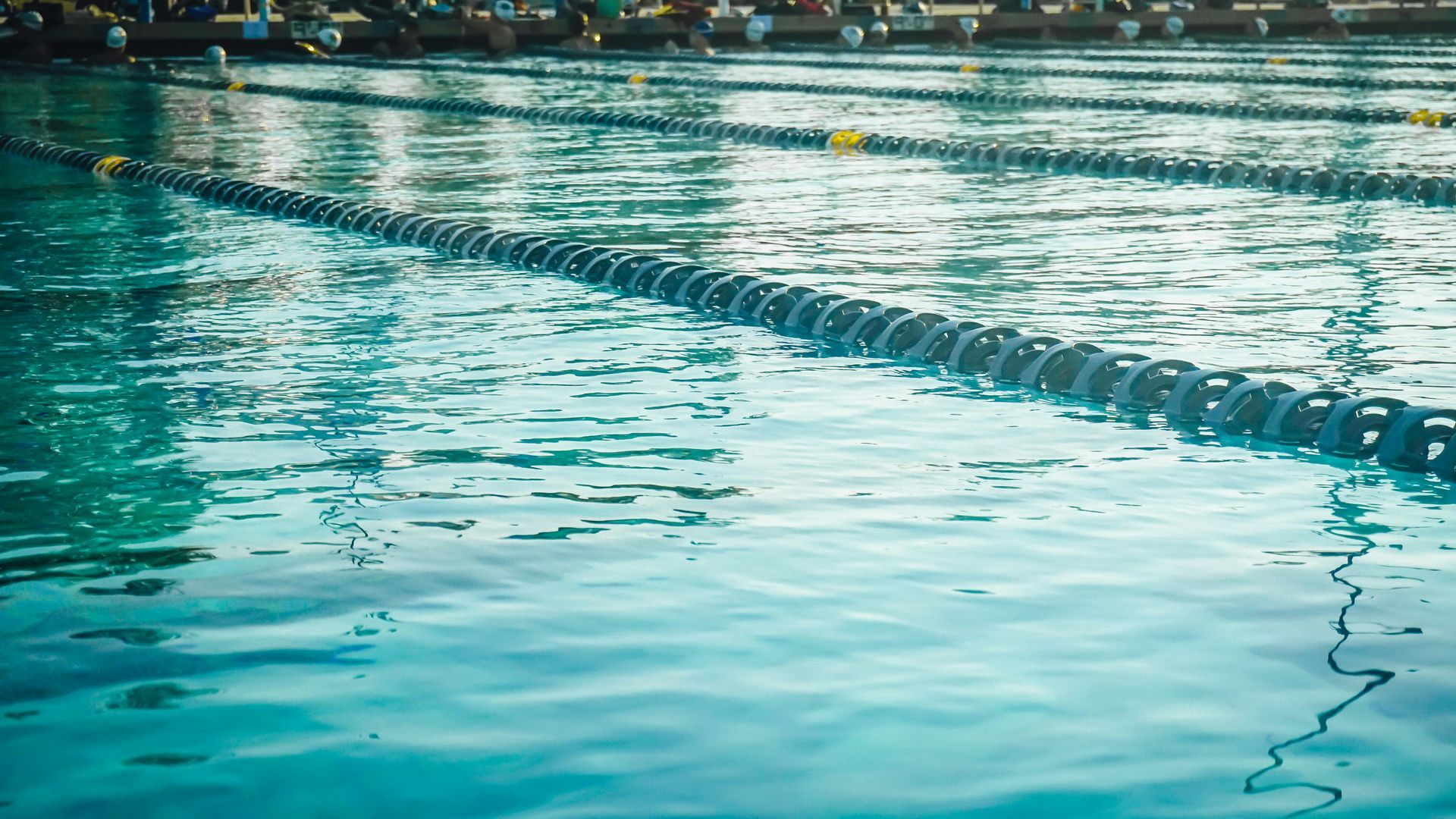 Swimming pool lane lines on calm turquoise water