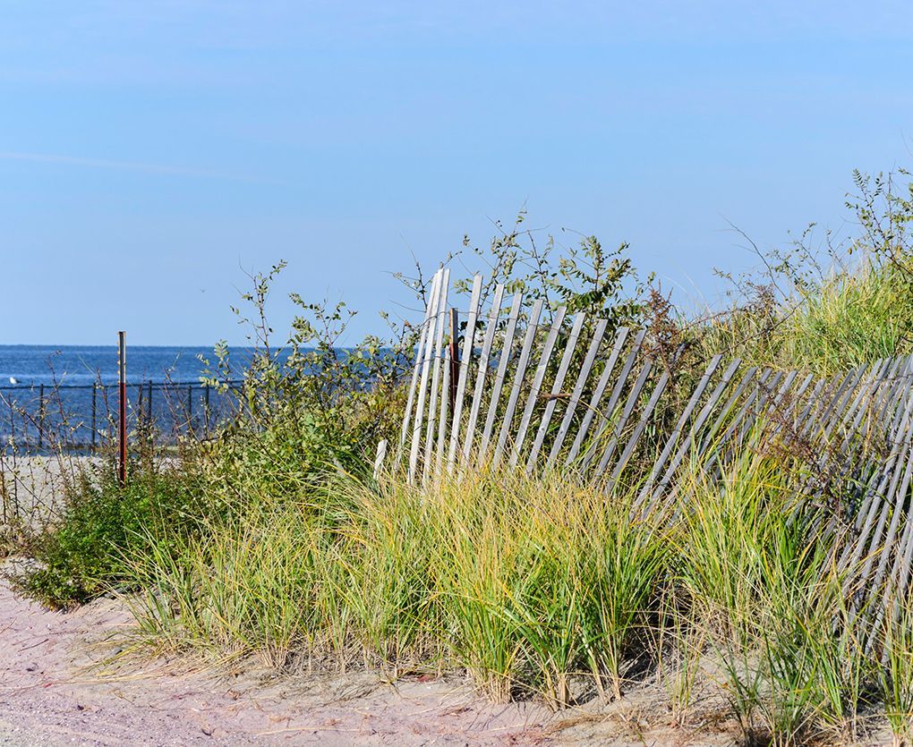 Sandy beach path beside a leaning white fence, tall grass, and blue ocean under clear sky
