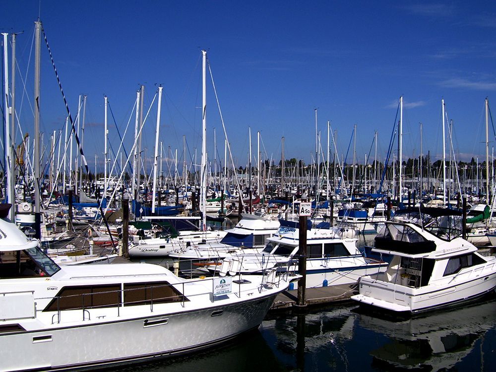 A crowded marina with many white sailboats and yachts docked under a clear blue sky