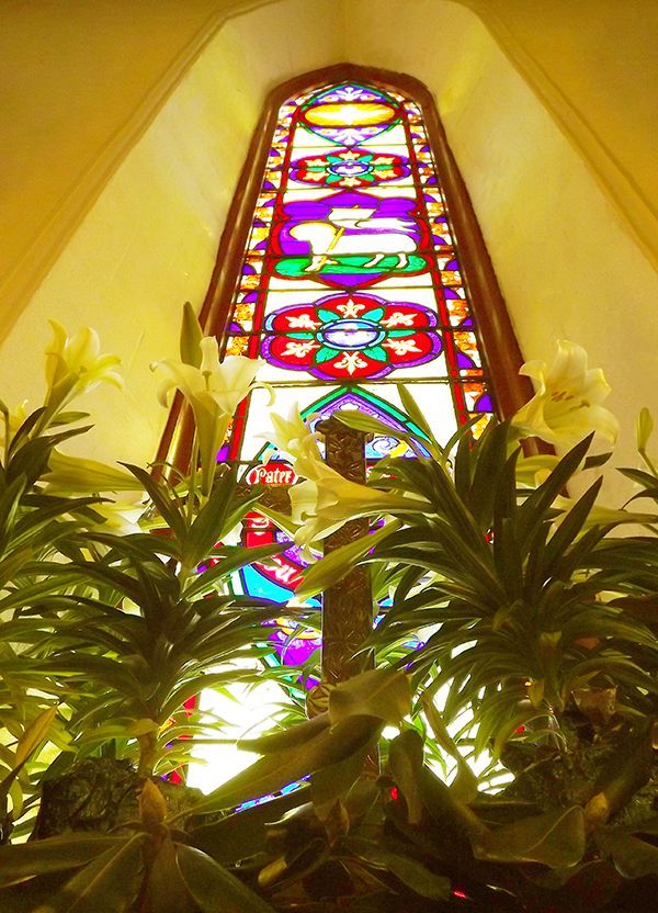 Colorful stained-glass window rises above some Easter Lilies and a cross, in a sunlit indoor spot within the church sanctuary