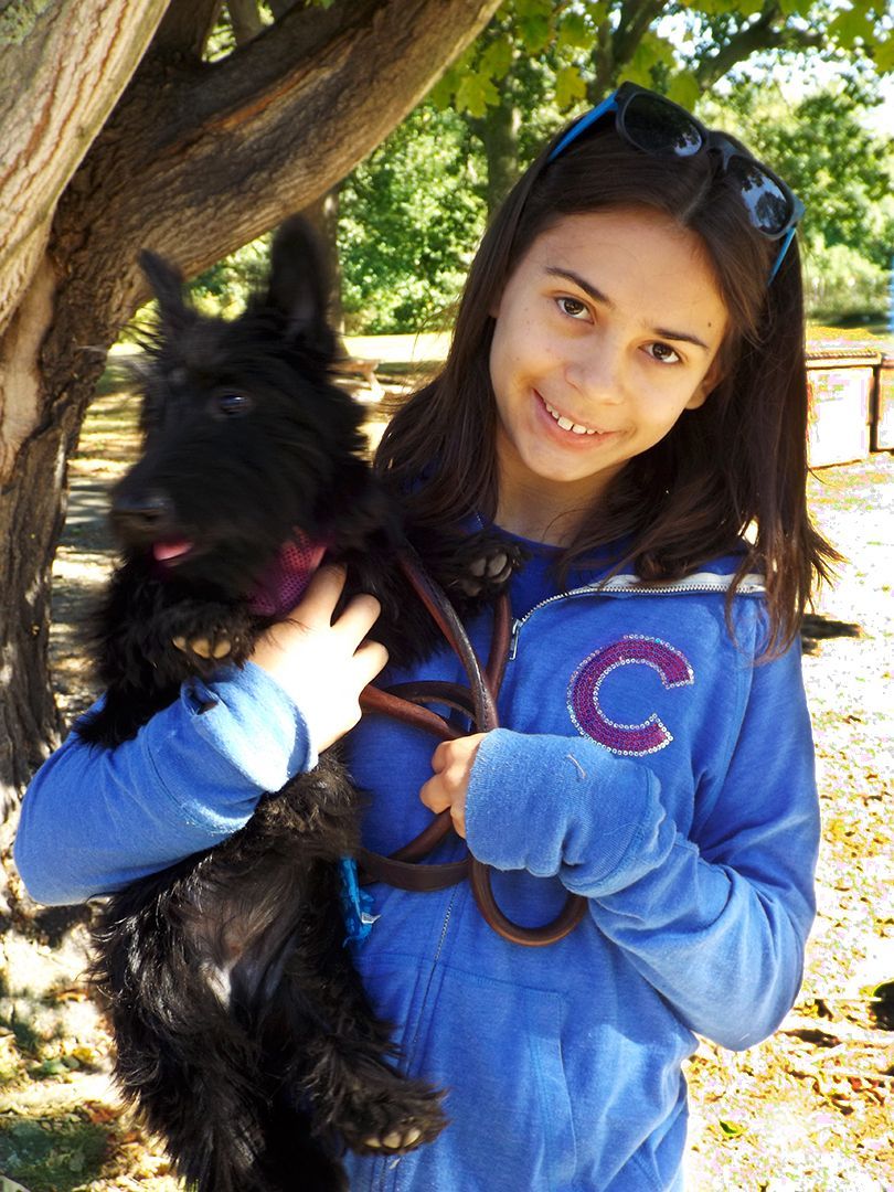 Smiling girl wearing a blue Chicago Cubs hoodie holds a small black Scottish terrier dog outdoors next to a tree