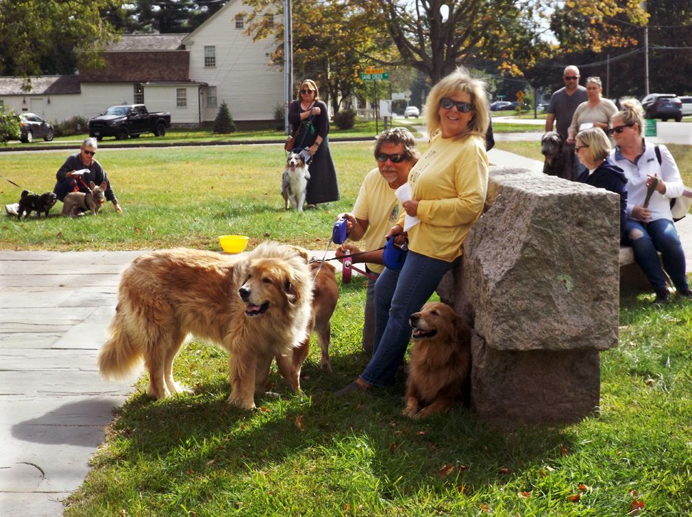 A group of people gathers w/their pets, near the stone sign on the church's front lawn, to await the blessing ceremony