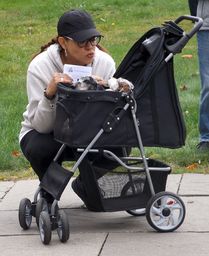 A woman in a baseball cap crouches beside a black stroller, blowing kisses to her 2 small dogs perched in the stroller seat