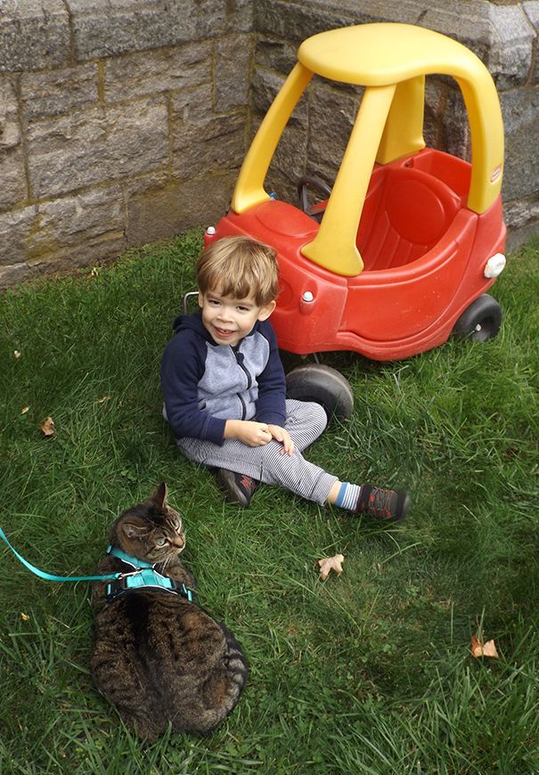 A young boy sits on the grass next to a large red and yellow plastic toy car, with a harnessed tabby cat lounging nearby