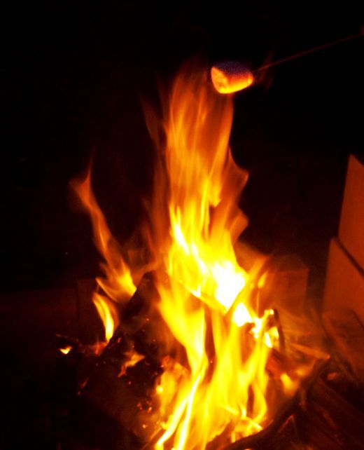 A toasting marshmallow perches on a stick above bright orange flames rising from a firepit.