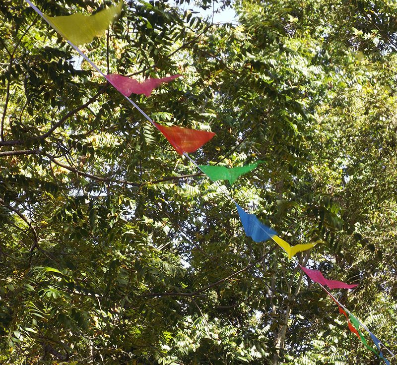 Colorful triangular pennants are flapping from the leafy green trees outside, in dappled sunlight.