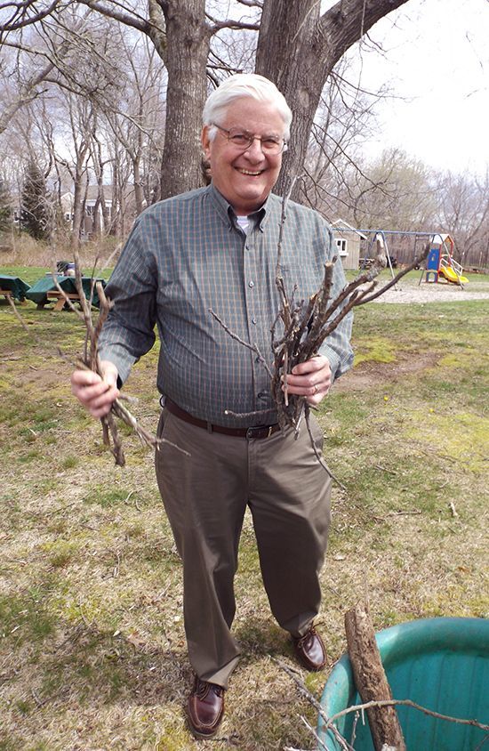 A white-haired man in glasses smiles, while holding 2 bundles of branches, outdoors in the churchyard w/playground behind him