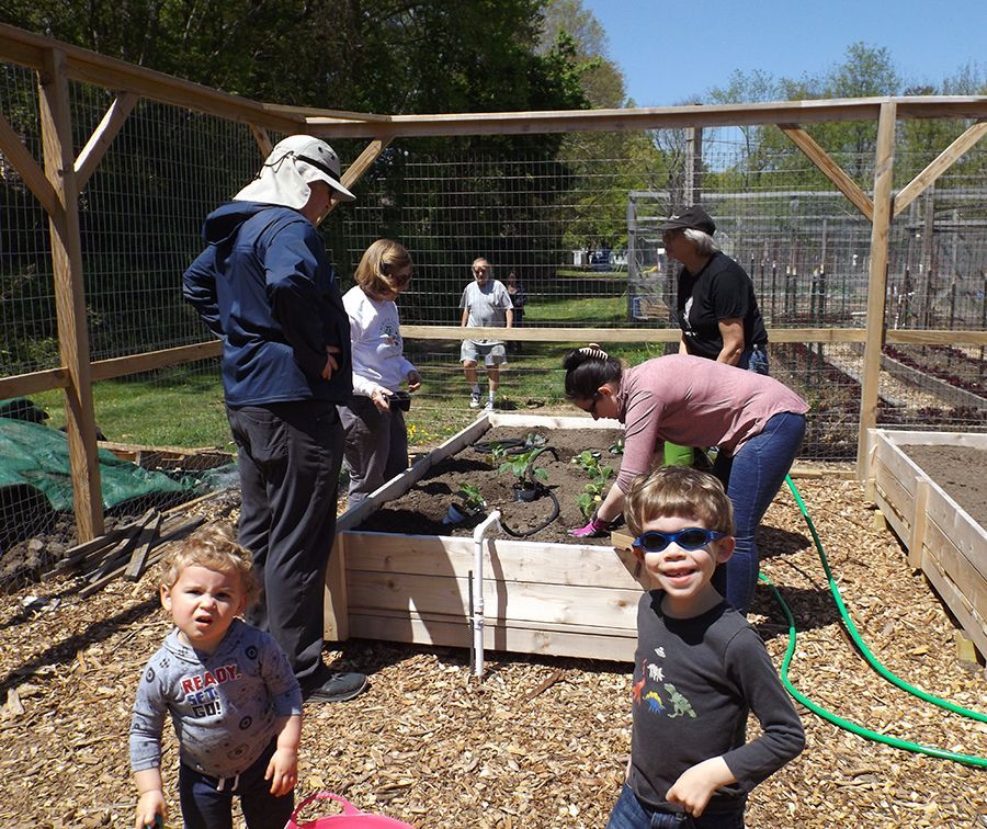 People working with children in a fenced, raised garden bed outdoors, with a hose nearby