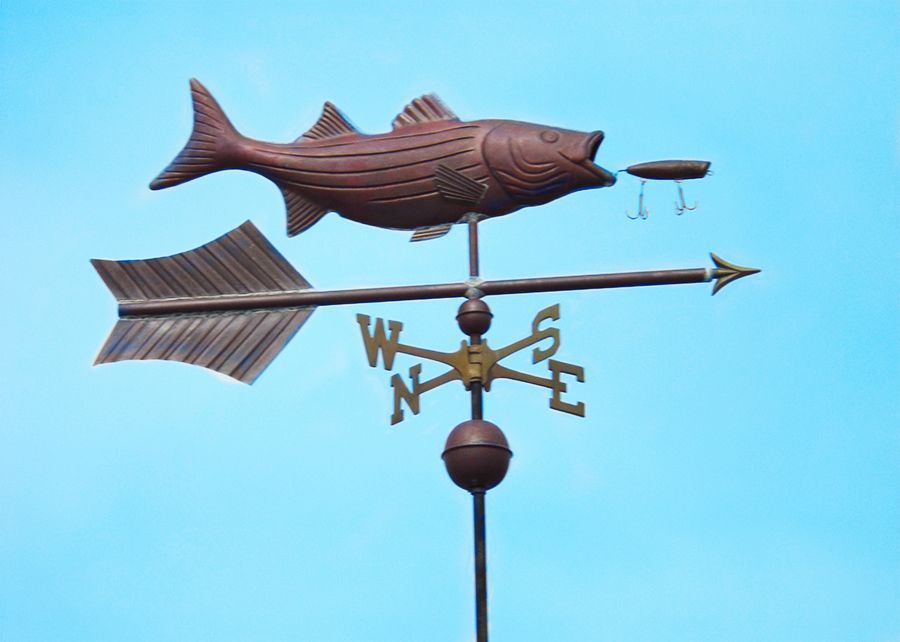 A copper fish-shaped weather-vane against a blue sky