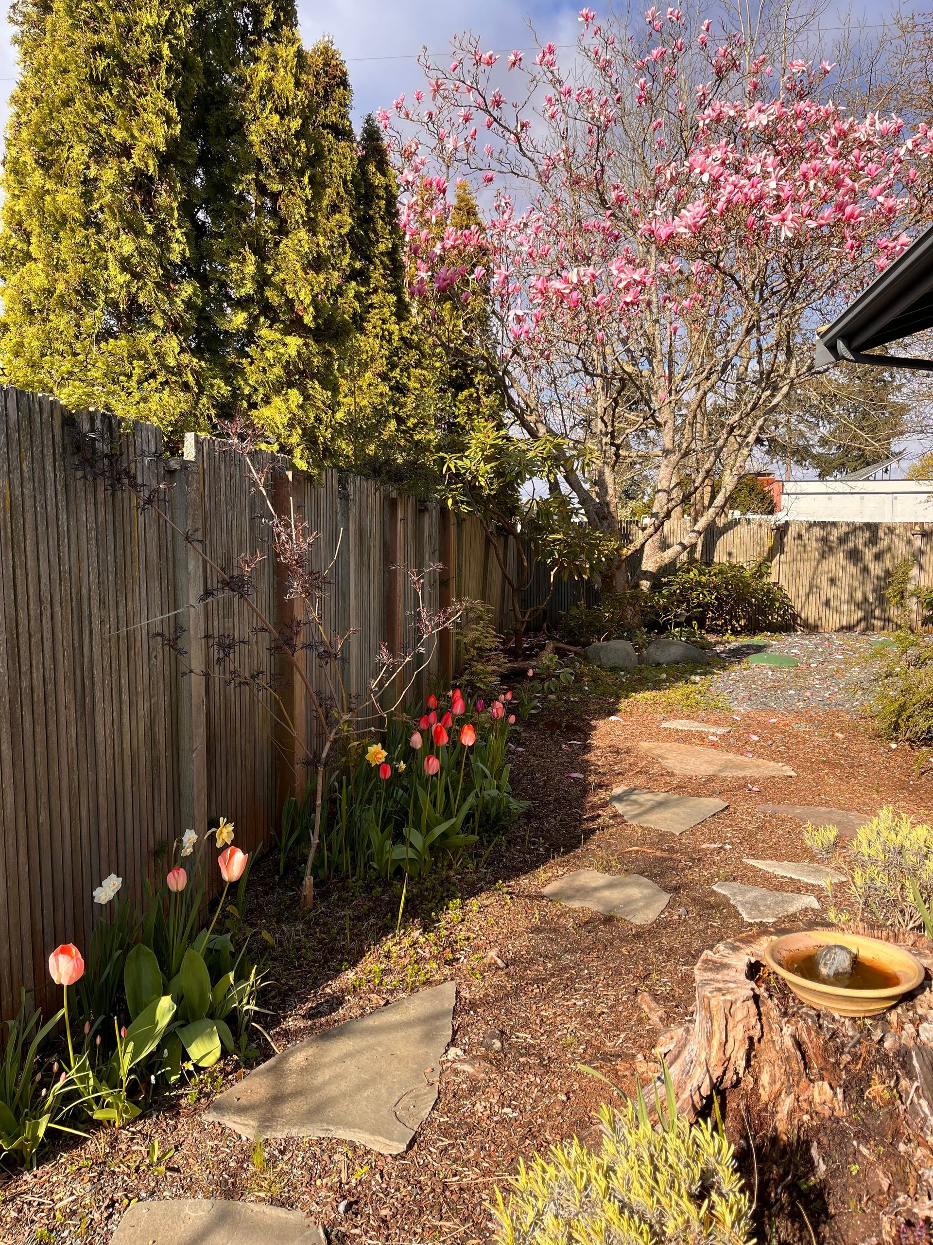 Backyard/Yard Art