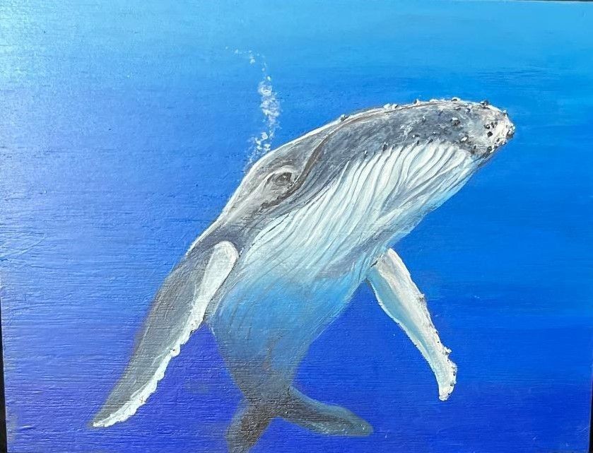 Solo Whale 7