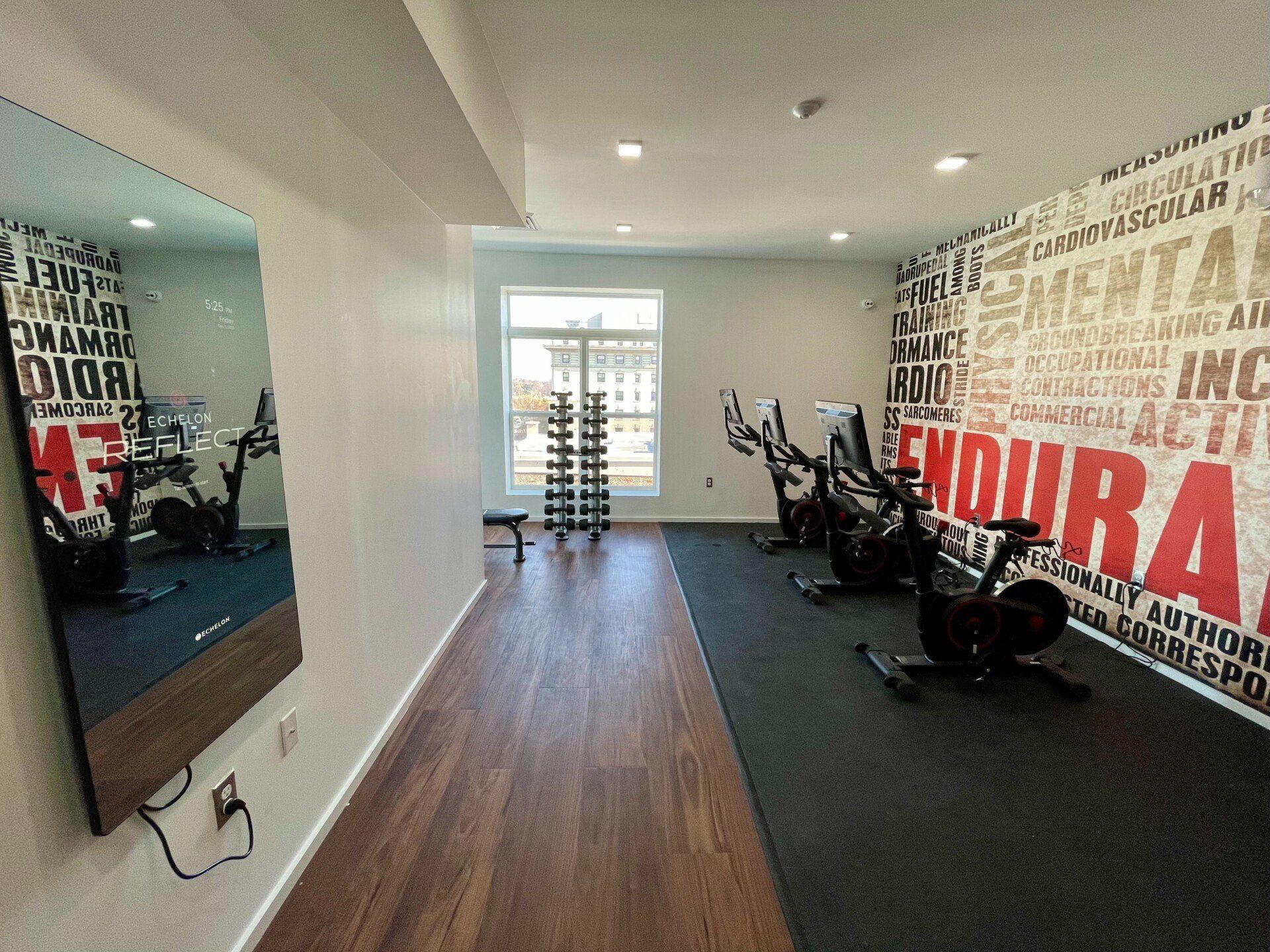 9 E Mt. Royal Property Image
