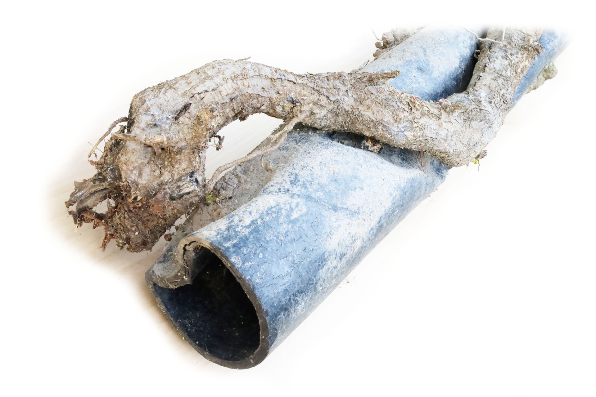 Busted sewer line