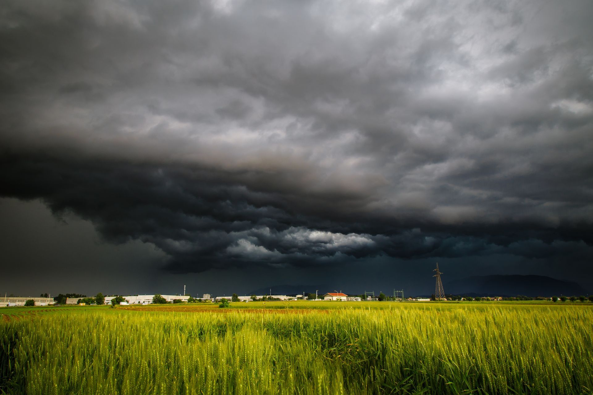 spring storm in Arlington TX