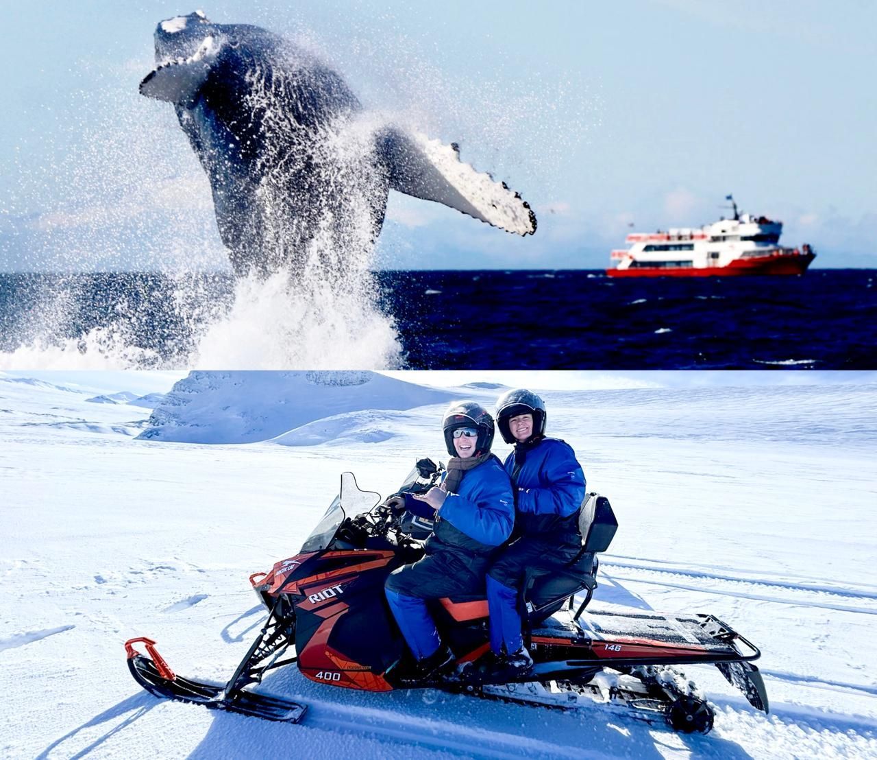 Snowmobile & Whale Watching