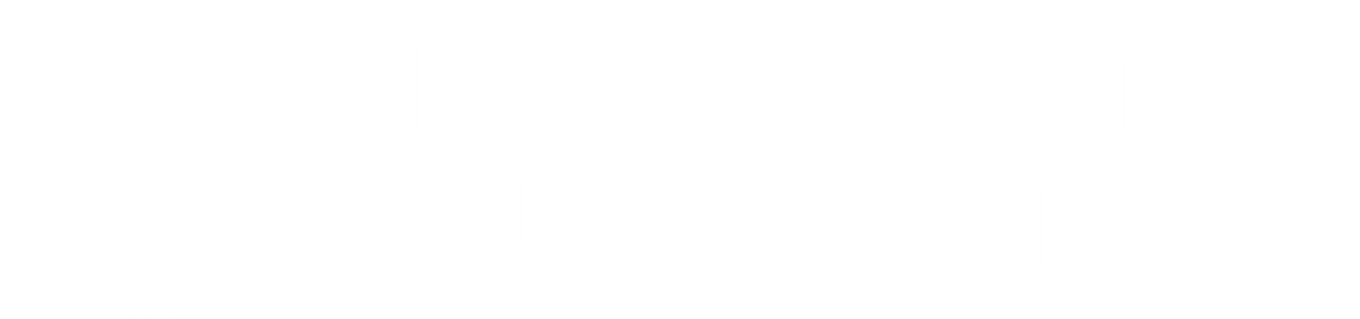 FSI