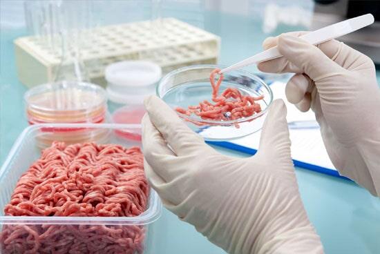 LABORATORIO KLEIN-Cultivos bacteriológicos