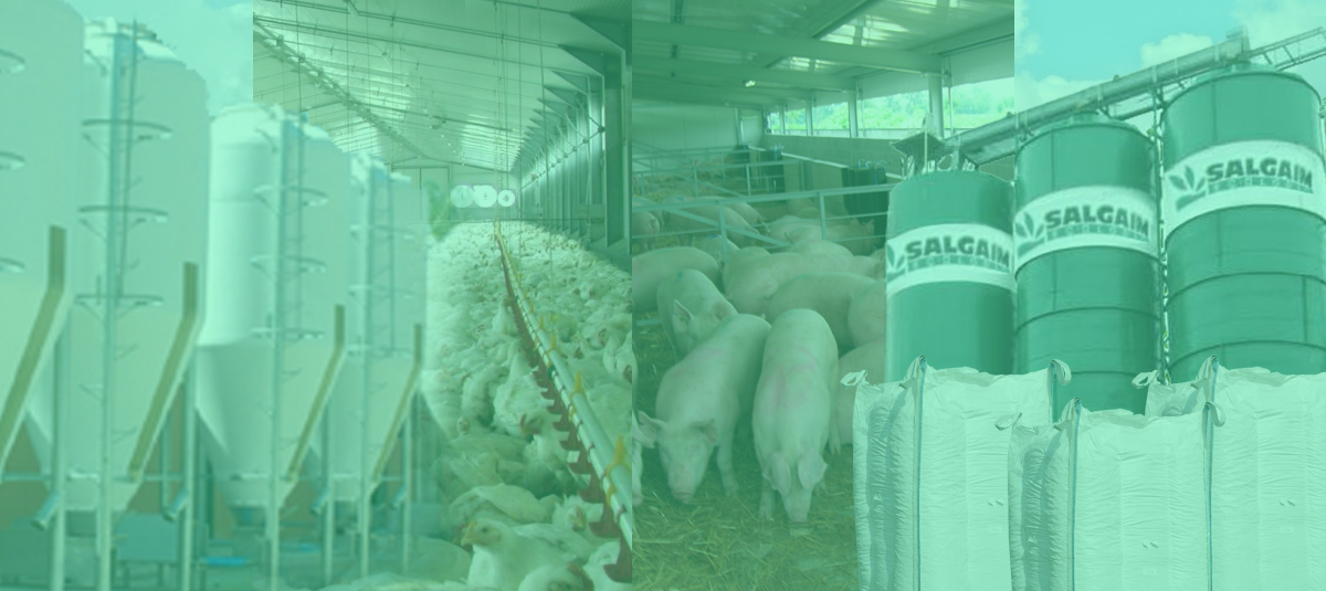 agroalimentare