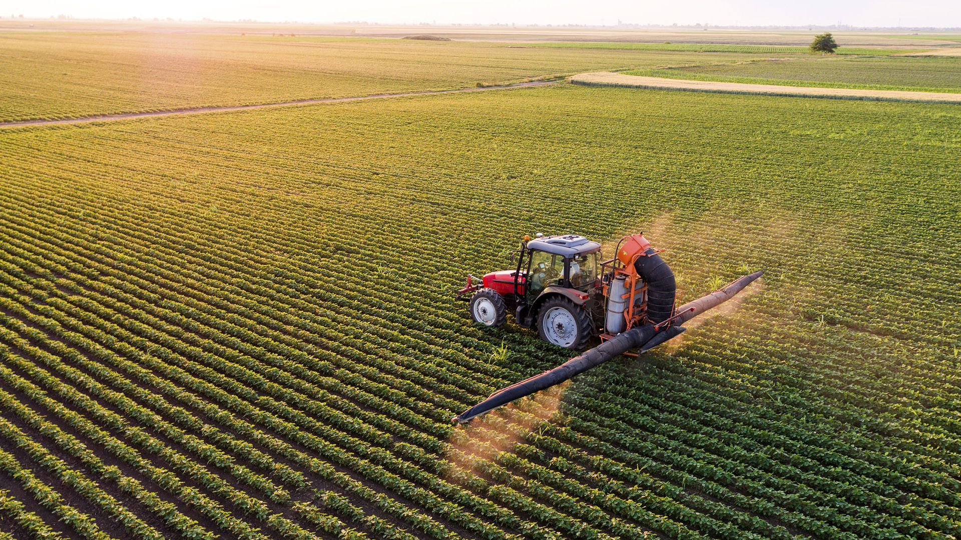 Trasformazione scarti per fertilizzanti