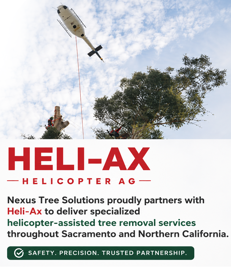 Heli-AX forestry helicopter spraying over trees with logo and service text on left