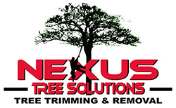 Nexus Tree Solutions logo: Red text, a silhouetted tree with a worker trimming branches, and  