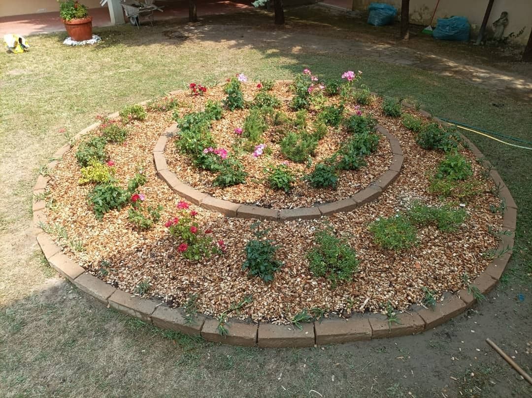 Un giardino circolare con fiori e pacciame in un cortile.