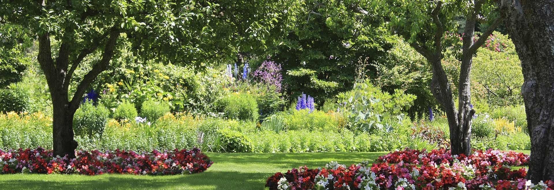 Un giardino pieno di fiori e alberi