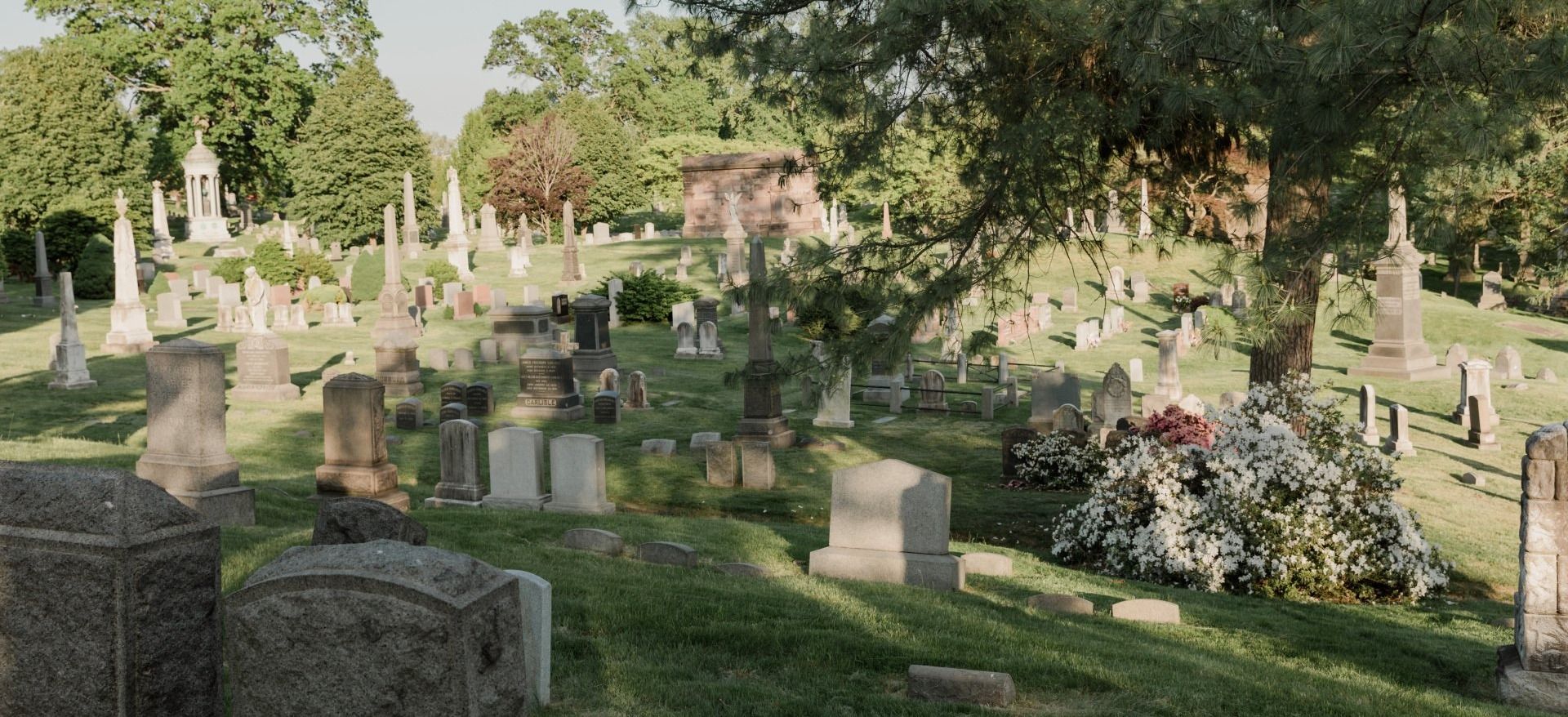 Un cimitero pieno di tombe e alberi.