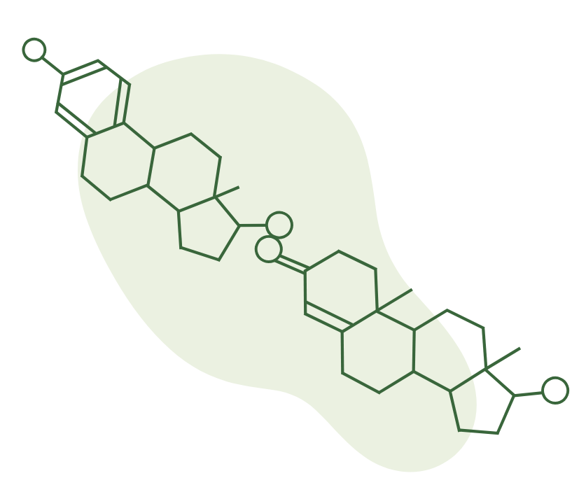 Illustration representing personalized hormone and wellness care