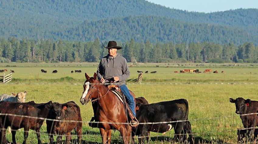 Man riding a horse in Eastern Oregon, representing active lifestyle and rural wellness