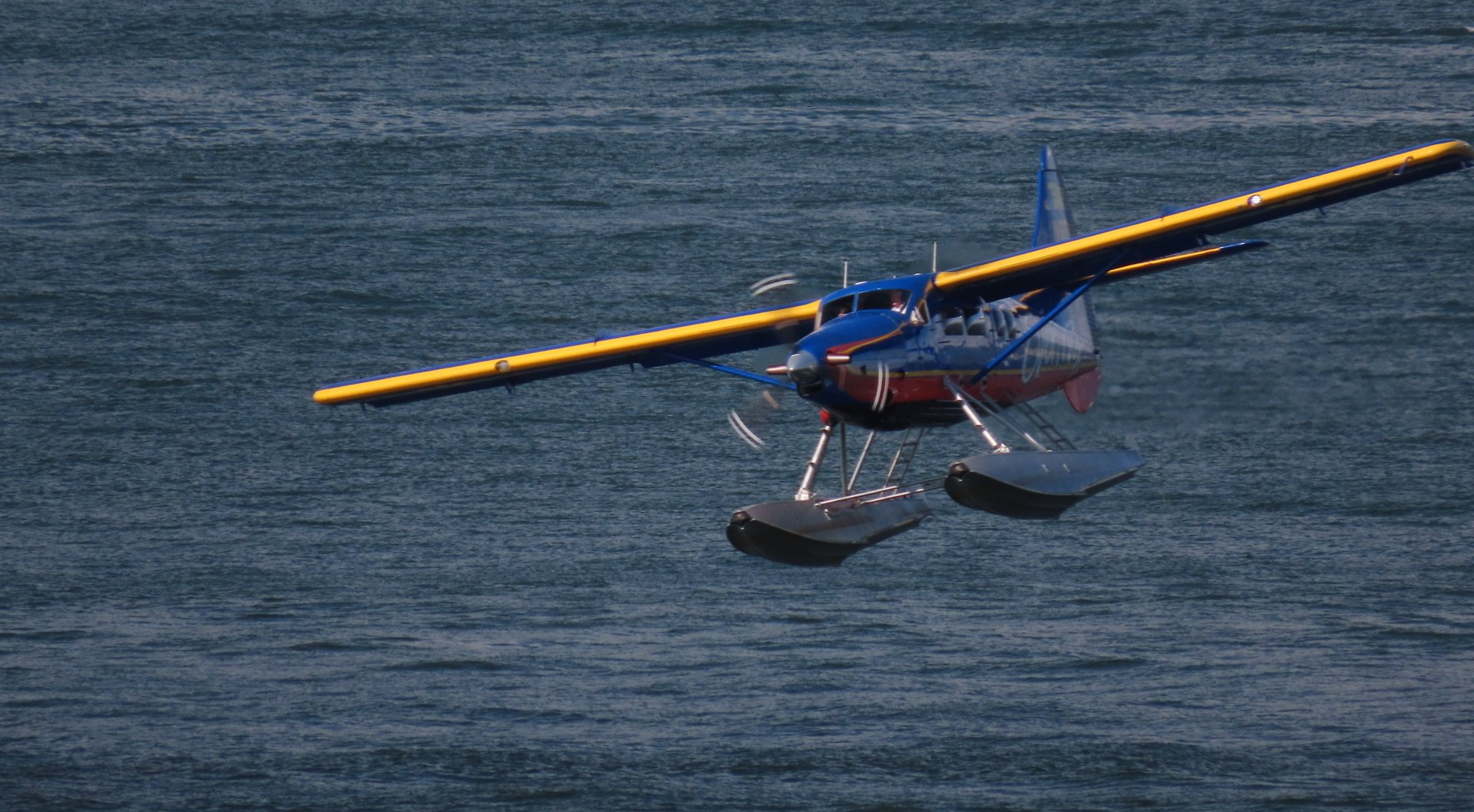 Royal Caribbean Alaska cruise and land tour Float Plane