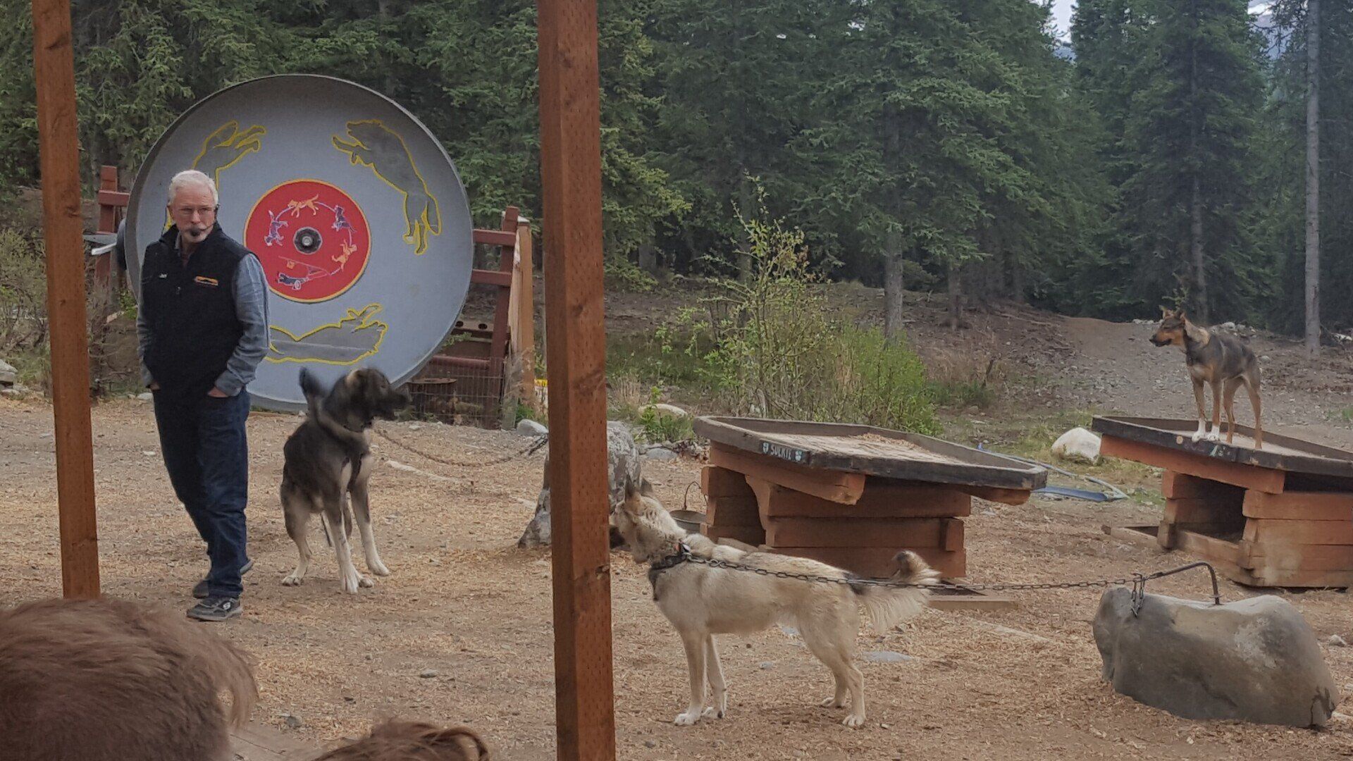 Royal Caribbean Alaska cruise and land tour Denali Park station Iditarod Sled Dogs Jeff King