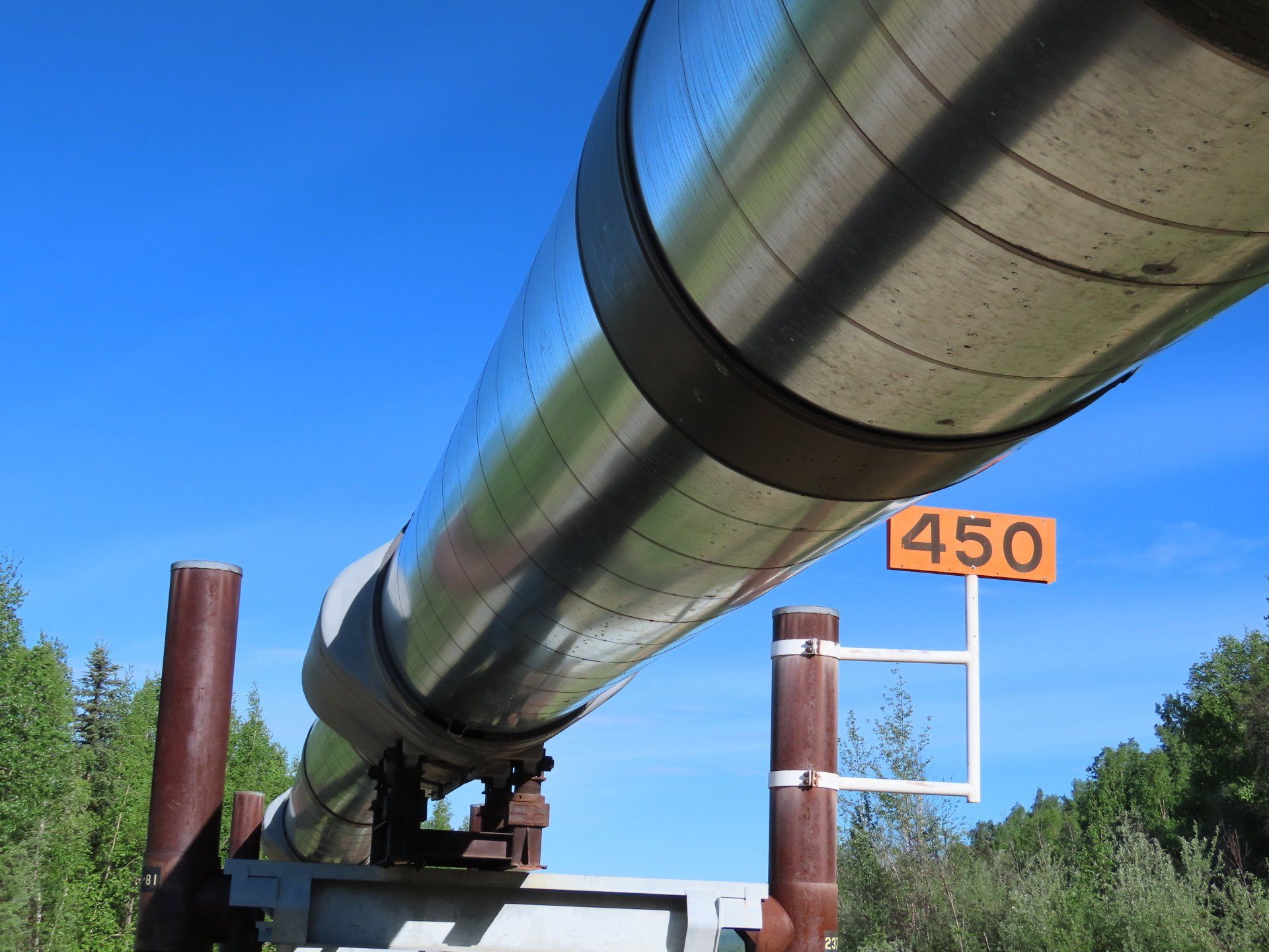 Royal Caribbean Alaska Cruise and land tour Alaskan Pipeline