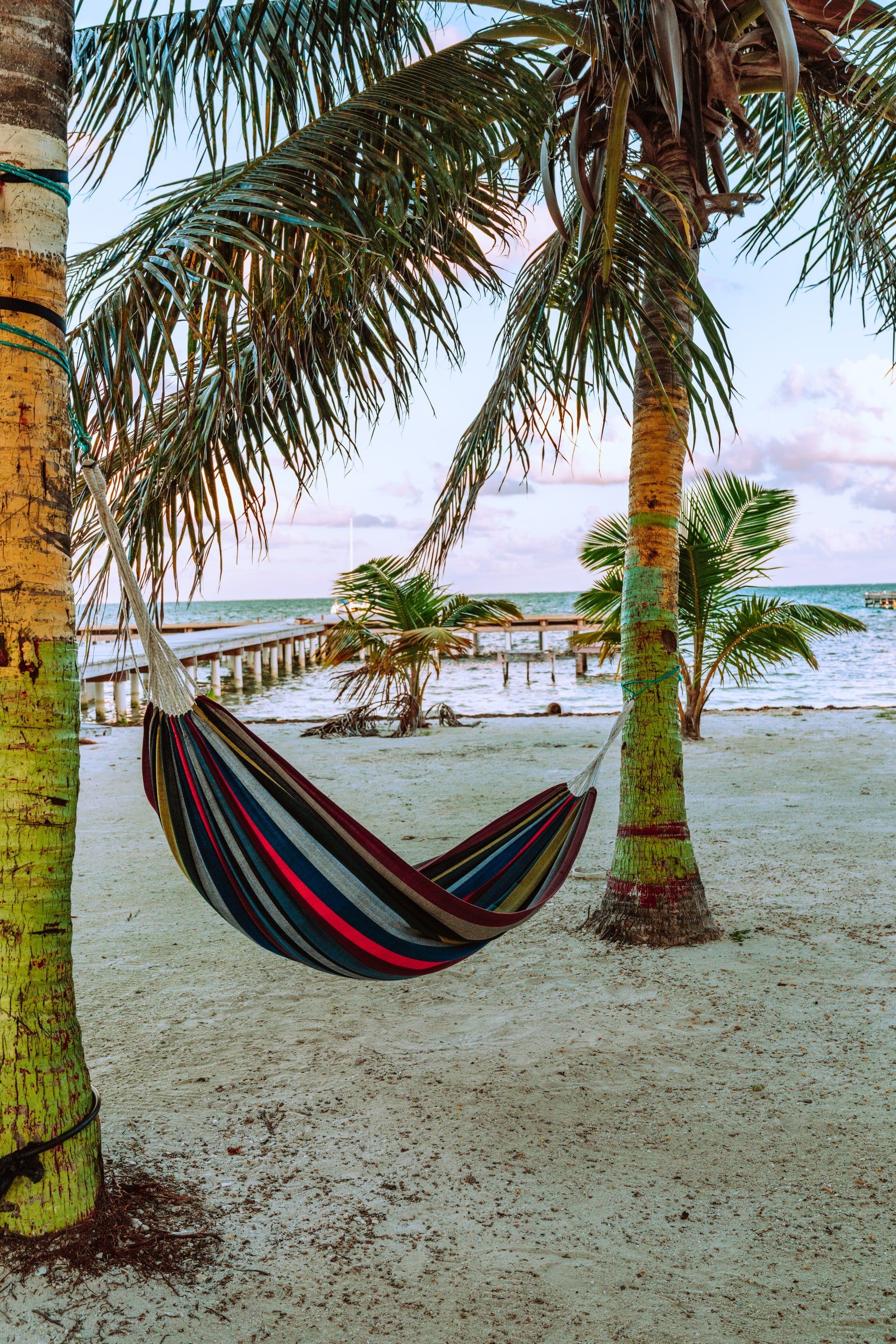 Land and Sea Travel Belize hammock and palm tree water view