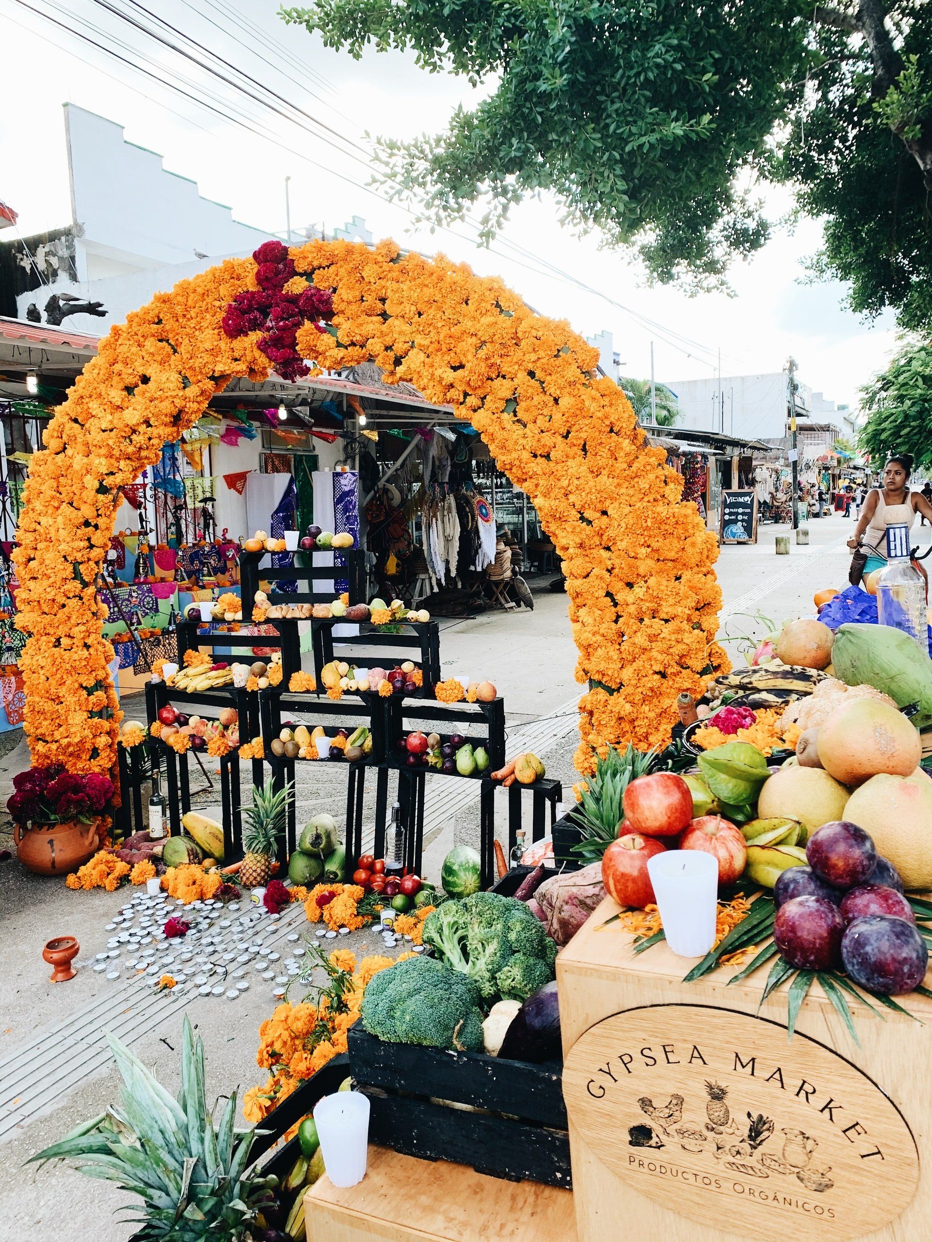 Land and Sea Travel Gypsea Organic Market Mexico