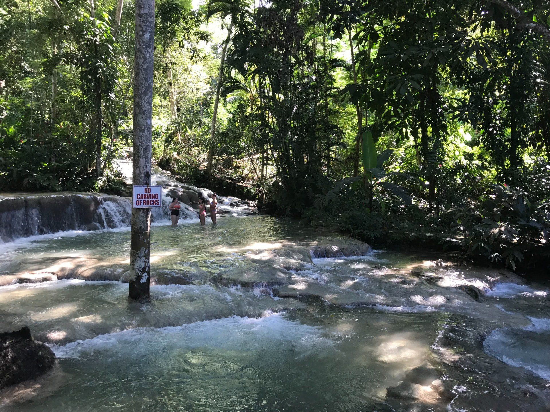 Land and Sea Travel Jamaica Dunes River View