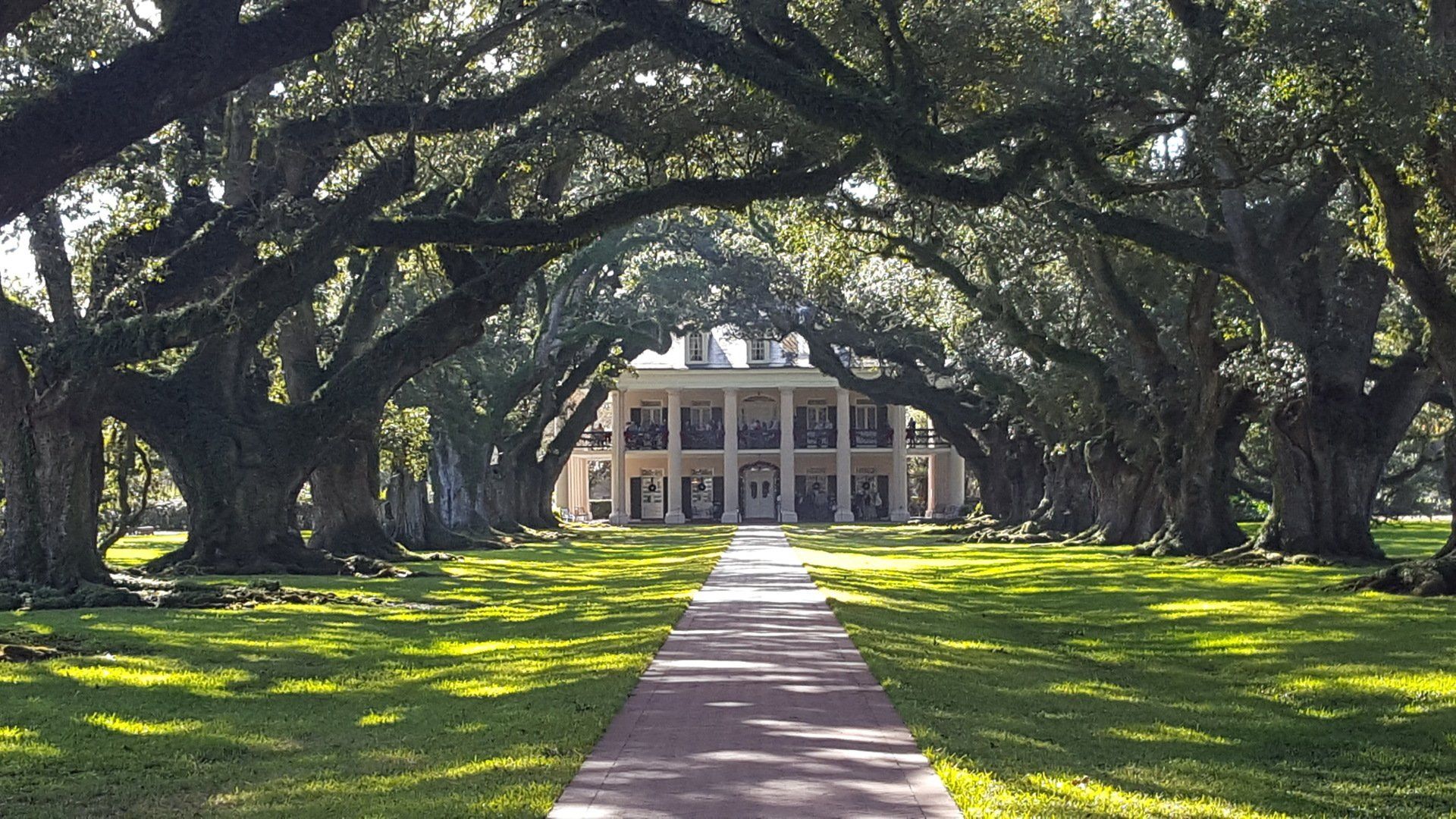 Mississippi River Cruise New Orleans Oak Alley Plantations