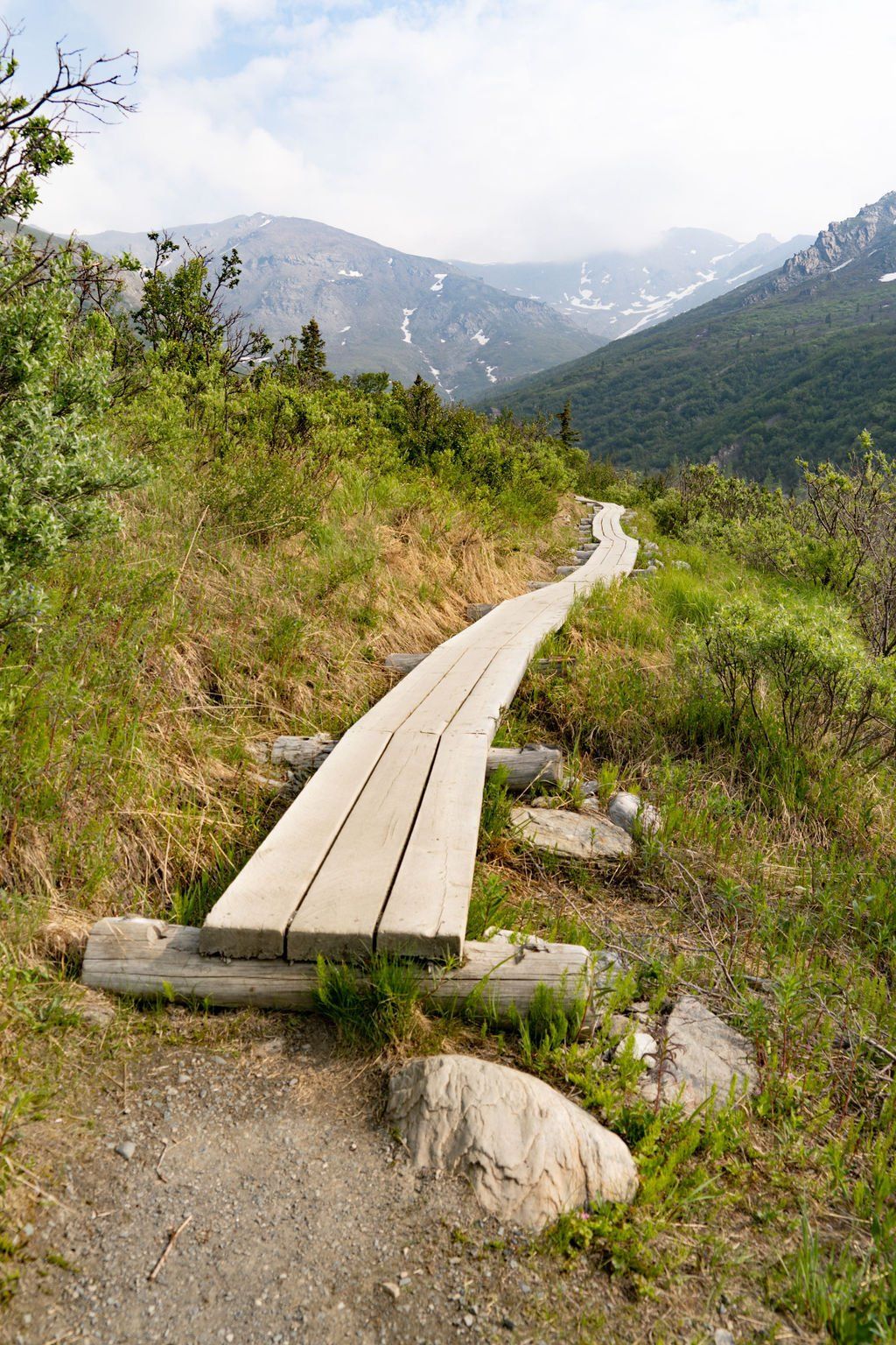 land and Sea Travel Alaska Interior walkway with Mountains