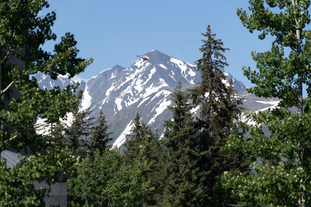 Land and Sea Travel Alaska Interior Trees and Mountains