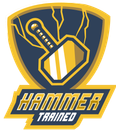 Hammer Sports Logo