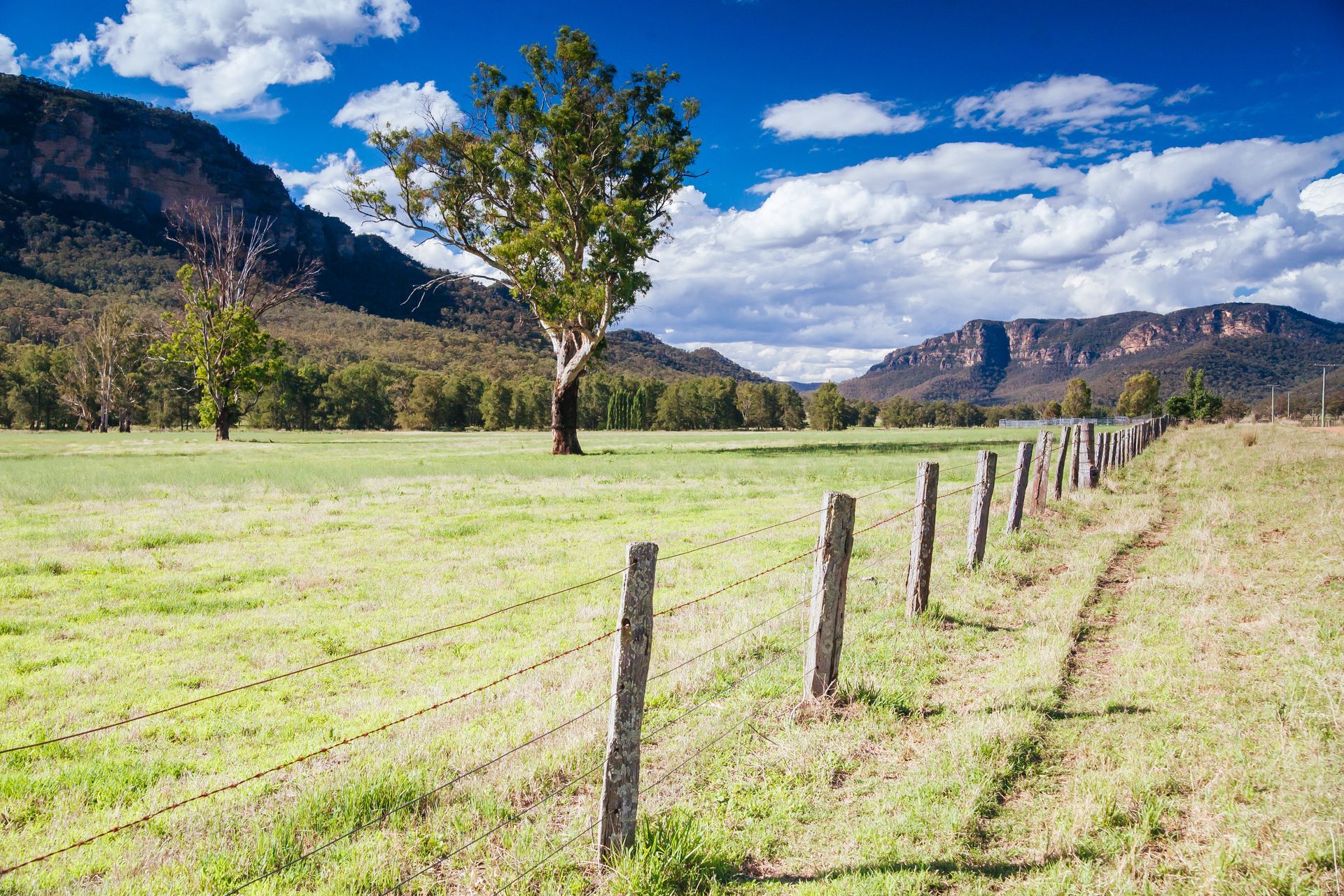 Wire Fence Runs Through a Sunny — Real Engineering In Hunter Valley, NSW