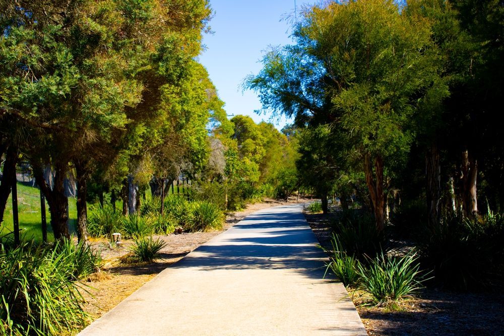 A Path Way Surrounded by Trees — Real Engineering In Wetherill Park, NSW