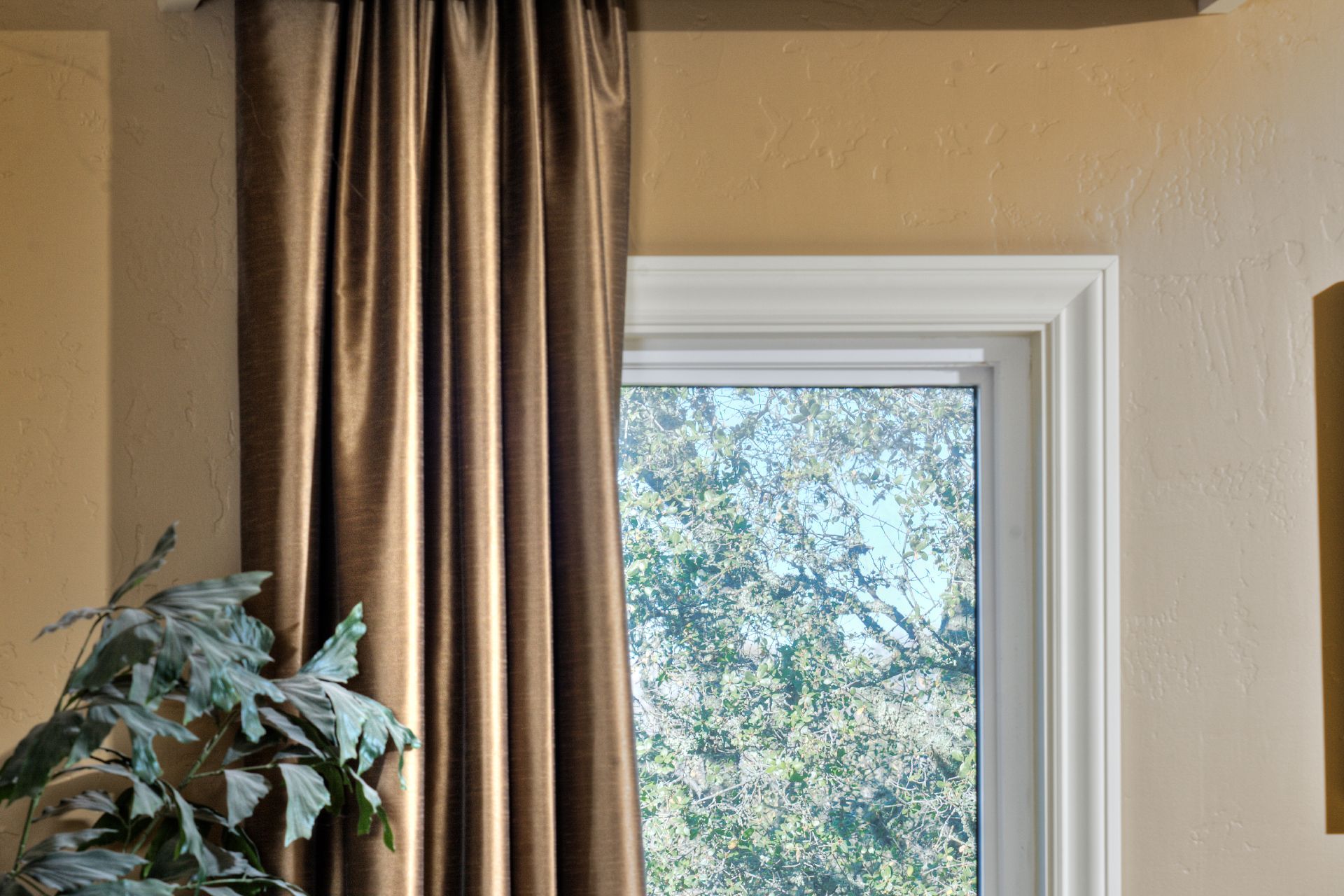 Window with brown curtain and white trim, view of trees.